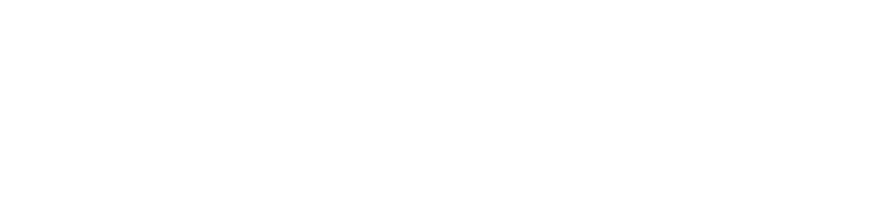 XPEL logo